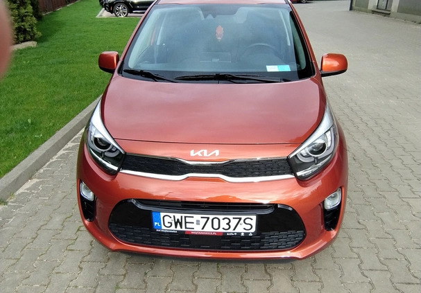 Kia Picanto cena 69900 przebieg: 18000, rok produkcji 2022 z Wejherowo małe 154